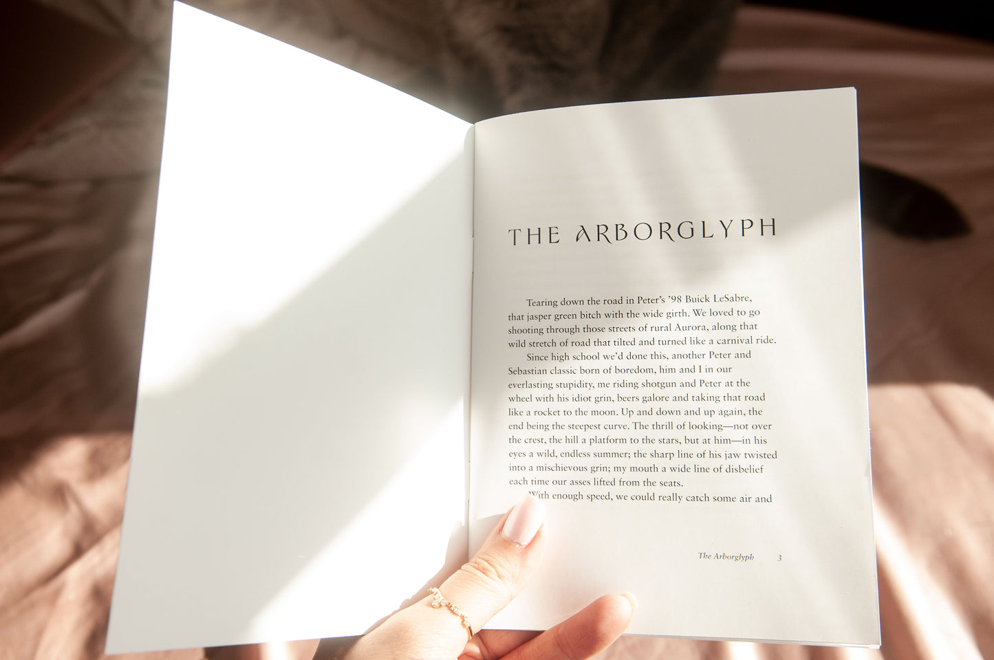 The Arborglyph Zine (Limited Edition)