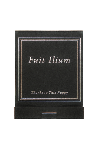 Fuit Ilium