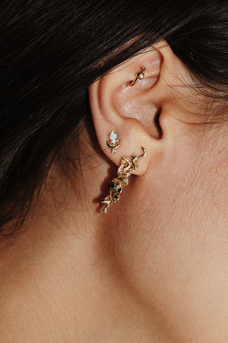 Boucle d'oreille relique de la Méduse occidentale